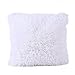 FabricMCC Faux Fur Pillow Cover, Decorative Super Soft Plush Mongolian Faux Fur Throw Pillow Cover Cushion Case (White)