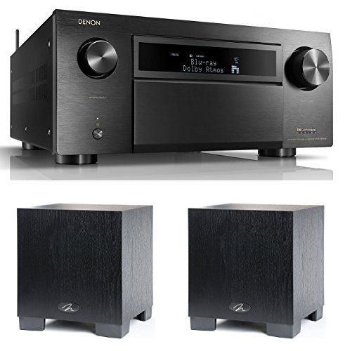 martin logan dynamo 300