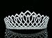 Pageant Queen Rhinestones Crystal Bridal Wedding Prom Tiara Crown