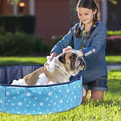 Delicacy Foldable Dog Pool, PVC Collapsible Dogs Pet Kiddie Bath Pool Swimming Pool,Bathing Tub for Dogs Cats and Kids-Blue
