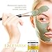 Cleansing Bentonite Clay Powder - 1 Lb - Deep Skin Pore and Body Cleanser, All Natural, Detoxifying, Use for DIY facial masks, shampoo, creams, lotions, deodorant etc. by Aspen Naturals
