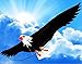 The Mighty Bald Eagle 3d Kite with 6'- 6