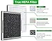 Future Way 2-Pack 3-in-1 H13 True HEPA Replacement Filter Compatible with Pure Enrichment PureZone Air Purifier, 2 Filter & 2 Prefilters, Replace PEAIRFIL
