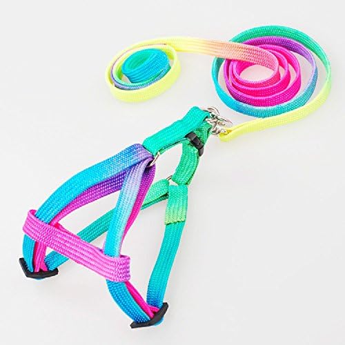 Tracy2811Store Dog Collars - Adjustable Rainbow Color Pet Dog Leash Nylon Dog Harness Collar Puppy Cat Rabbit Kitten