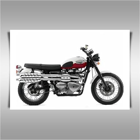 triumph amazon scrambler