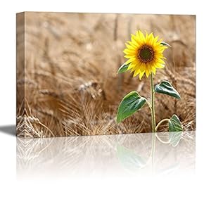 Sunflower on Wheat Field in Summer Sunny Day Wall Decor