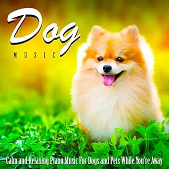 separation anxiety music