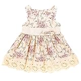 Aikobaby Baby Girls Sleeveless Flower Printed Lace Princess Dresses Summer Skirts