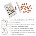 Dadiii Soft Cat Nail Caps, 120PCS Soft Claws Paws Nail Covers for Pet Cat and Dog to Protect Furniture 6 Colors + 6 Pcs Adhesive Glue and Applicators, Options of 3 Size (M Size)