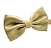 M2cbridge Men's Double Pleated Grid Bow Tie Formal Dress Plain Tie (Champagne)