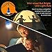 Zoojee Studio YG-310 Camping Lights Bulb-4 Pack and 4 Colors (Orange, Blue, Red & Green) Camping Lantern-1.97X4.72 Inch Portable Hanging Tent Lights Bulb, Bateery Powered Lantern
