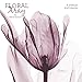 2018 Floral X-ray Wall Calendar (Mead)