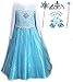 Snow Queen Elsa Princess Party Dress Costume with Accessories (6-7, Style 2)