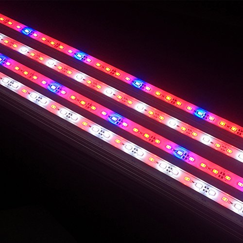 HAMRVL 5730 Aquarium Coral LED Strip Light Spool Waterproof LED Plant Grow String Lights DC 12V 1ft 3Pcs With power and remote (1Red 2White 1Blue )