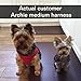 Comfort Fit Dog Harness No Pull No Escape Harness Adjustable Buckles Soft Padded Reflective Choke Step in Dog Vest with Easy Control Handle for Small Medium Large Dogs & Puppies
