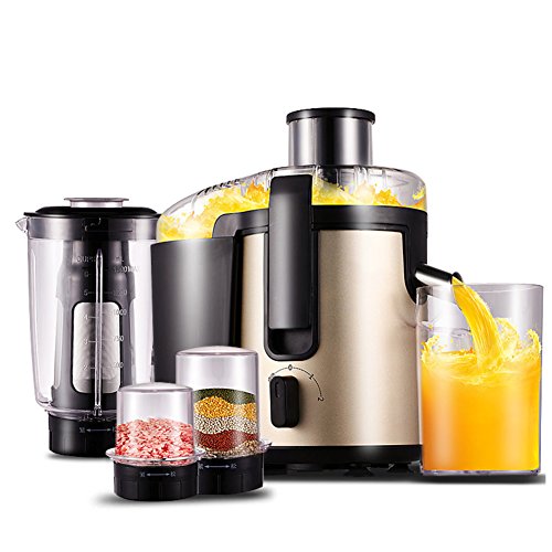 SL&VE Multifunctional automatic juicer, Stainless steel Super silent Fruit and vegetable juice extractor, 450w, 18000rpm, No bpa-gold 1500ml