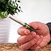 PURR Smokey Rolling Tip (Green) - Improve Your Smoking Experience with This High Quality Glass Filter Tip for Tastier Flavor & Smoother Hits! Easily Cleaned & 100% Reusable. Great for Hand Rolls