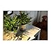 IKEA Artificial Potted Plant, House Bamboo, 11 Inch