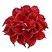 Leagel Calla Lily Bridal Wedding Bouquet Head Lataex Real Touch Flower Bouquets (20, Red)