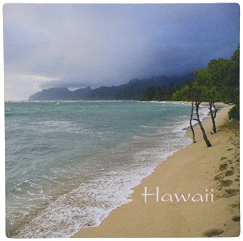 3dRose LLC 8 x 8 x 0.25 Inches Mouse Pad, Print of Beautiful Foggy Beach Scene…