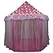 SkyeyArc Princess Castle Play Tent with 34 Feet 100 Led Star Lights String, Pink Tent, Princess Playhouse with Lace, Kids Tents, Castle Playhouse, Great for Kids