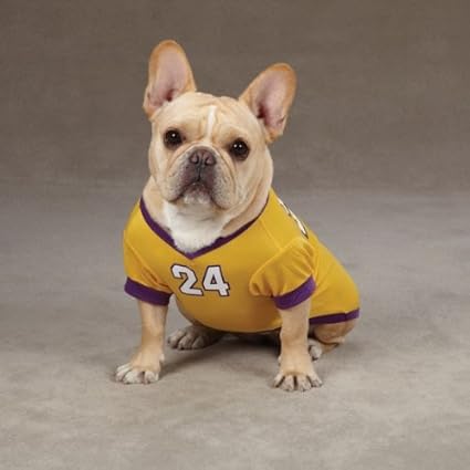 la lakers dog jersey