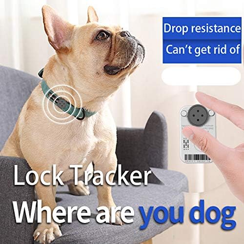 real time gps dog tracker
