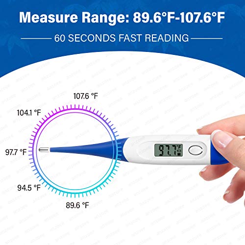 10Pack Thermometer Fahrenheit Accurate Digital Thermometer Mercury
