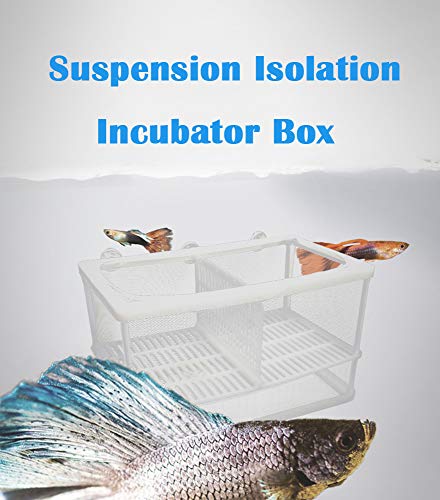 6 NGe+Rectangle+Isolation+Adjustable+Incubator