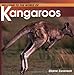 Welcome to the World of Kangaroos (Welcome to the World Series)