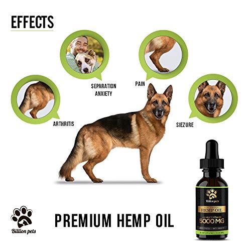 Billion Pets Hemp Oil Dogs Cats 5000mg Separation Anxiety, Joint