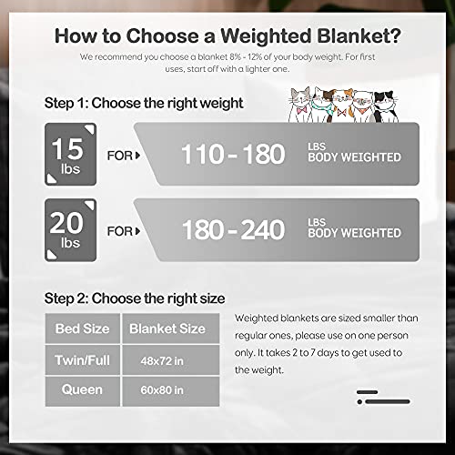 Sherpa Fleece Weighted Blanket for Adult, 15lbs Thick Fuzzy Bed Throw with Ribbed Stripes, Dual Sided Cozy Fluffy Weighted Blanket with Premium Beads for Bed, Couch, 60 x 80 Inches, Grey