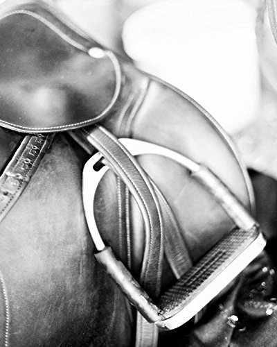 Derby II - Fine Art Print on Canvas - Gallery Wrap - 45 x 18 Inch - Ready to Hang Wall Printing