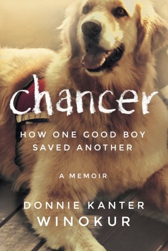 Chancer: How One Good Boy Saved Another