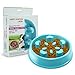 Slow Feeder Dog Bowl - Interactive Fun Slow Eating Bowl for Pets Health Bloat Stop Anti-Choking, Non-Toxic. Eco-Friendly Material (Large)