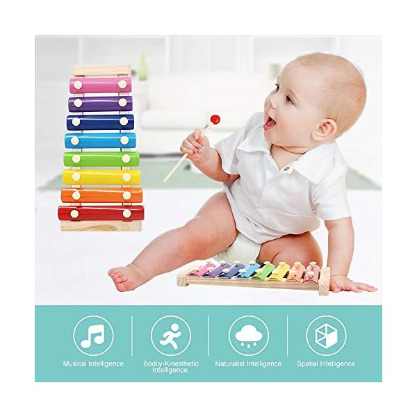 Soota Musical Instruments Toy Xylophone for babies, Holiday/Birthday Gift, Wooden Musical Instrument with Bright Multi-Colored Bars and Child-Safe Mallets