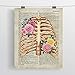 SUMGAR Vintage Prints Wall Art Human Anatomy Posters 8x10 Dictionary Unframed Prints Sechars - Abstract Human Brain Rib Cage Heart with Red Rose Painting Set of 3