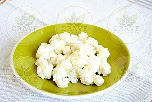 Finest Quality Milk Kefir Grains SCOBY in UK + Free Delivery & Recipes Crave Longevity® (5g)