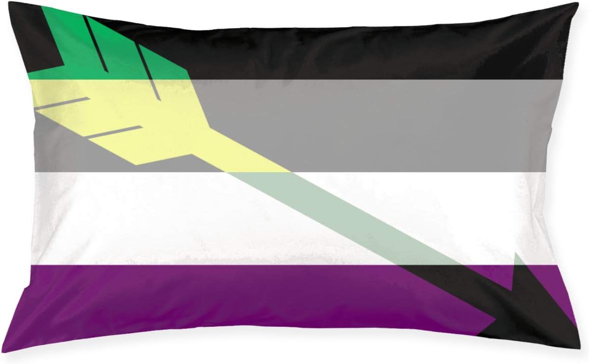 Amazon Com Aromantic Aro Ace Asexual Arrow Pride Flag Bedroom Apartment House Rustic Farmhouse Dorm Couch Lumbar Party Set Accent Bed Sleeping Theme Home Decorations Ornament Throw Pillow Bedroom Indoor Sofa Home