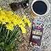 HERSHEY'S Milk Chocolate You're Amazing Appreciation Candy Bars for Christmas and Holiday Season, 4 oz Bars, 12 Count