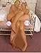 Whole Body Stocking Encasement Cocoon Sheer Pantyhose 2 People