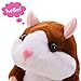 Talking Pet Hamster Electronic Animal Plush Toy - Mimics and Repeats After Words & Sounds - Special Gift for Kids Ages 4 - 100, Boys and Girls, Birthdays, Christmas by Neverland(Brown)