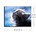 Cute Animal Wall Art for Bedroom, Lovely Pet Canvas Prints Decor of Adorable Cat Looking Up Picture, Innocent Hairy Kitten Makes Pity and Love (Waterproof, Bracket Mounted Ready Hanging, 1