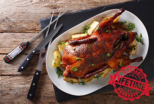 website template image