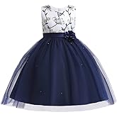 3M-9T Baby Girls Flower Dress Embroidery Paqeant Party Wedding Lace Dresses