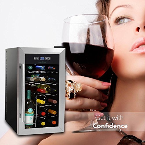 5 NutriChef+Thermoelectric+Freestanding+Refrigerator+Operation