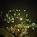 AceList Mini Cactus Cacti Copper String Light 30 LED Cute Cactus for Bedroom Party Branches Tree Lighting Decor Decoration Battery Operated