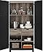 Ameriwood Home Carver 64 Storage Cabinet, Black