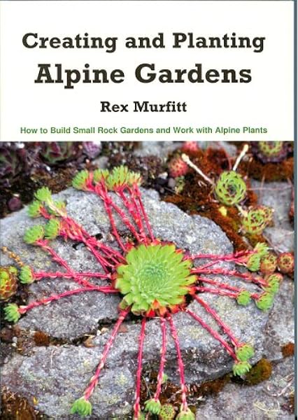 Creating And Planting Alpine Gardens How To Build Small Rock Gardens And Work With Alpine Plants Rex Murfitt 9781893443075 Amazon Com Books