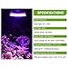 Grow Light Bulb, PATHONOR Pack of 4 Upgraded Full Spectrum 28W E27/ E26 LED Grow Light Bulbs with 1 Adapter Cable, Grow Plant Light Bulb for Hydroponics Greenhouse Organic Succulent Flowers Vegetable